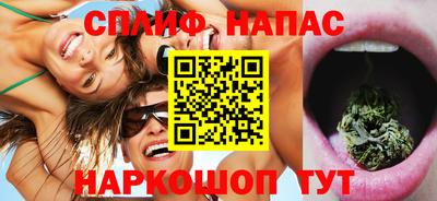 МДПВ Будённовск