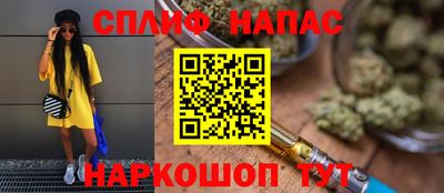 МДПВ Будённовск